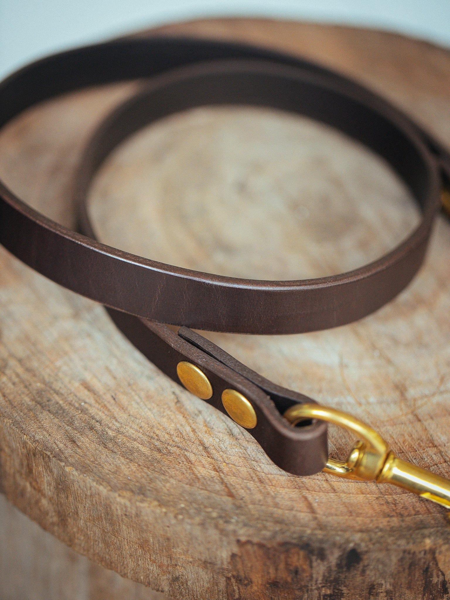 The Real McCaul Leathergoods Pet Leashes Narrow Dog Leash - Dark Brown Australian Made Australian Owned Leather Dog Lead or Leash - HandMade In Australia- Brass Fittings